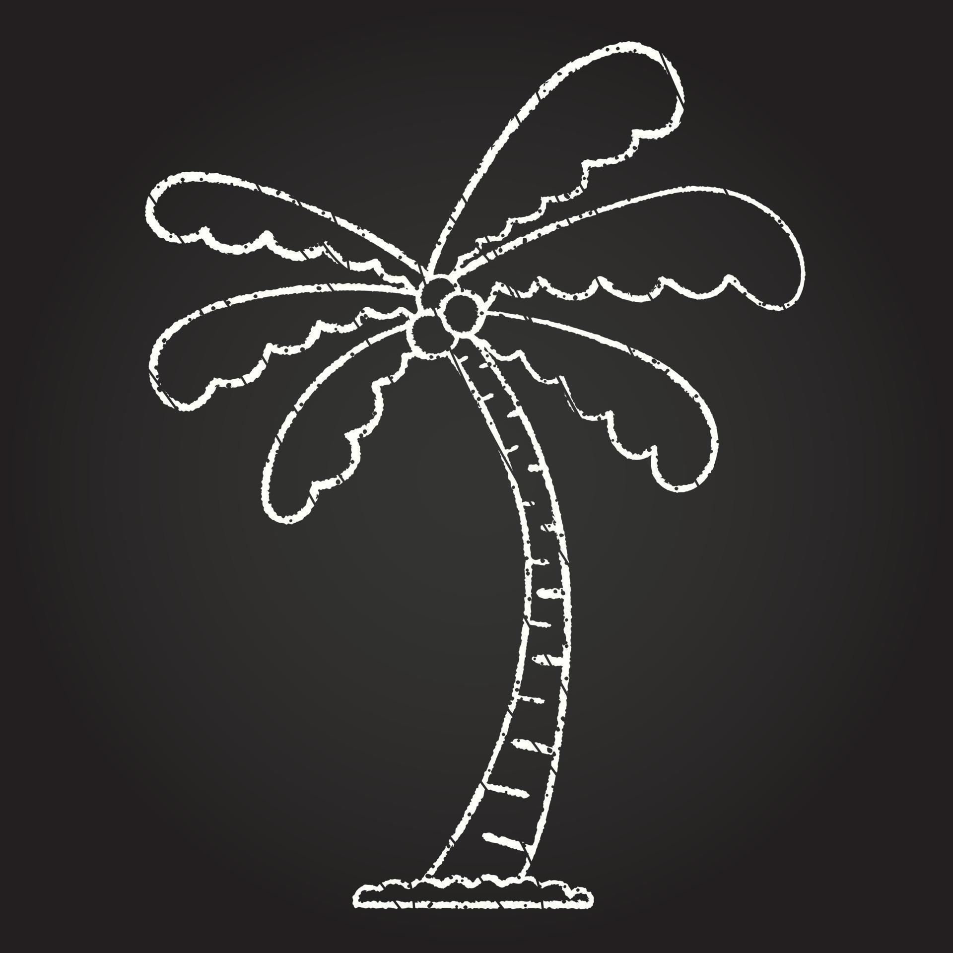 Palm Tree Chalk Drawing 13110646 Vector Art at Vecteezy