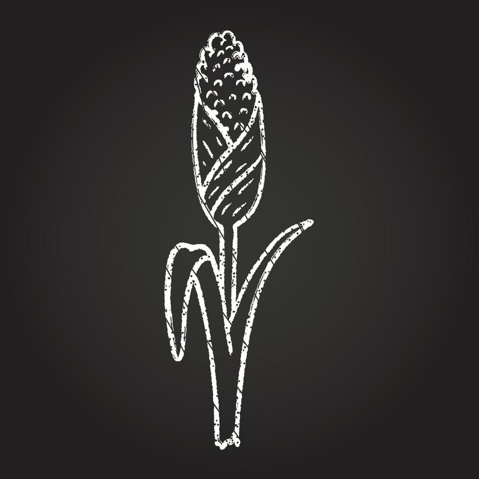 dibujo de tiza de tallo de maíz vector