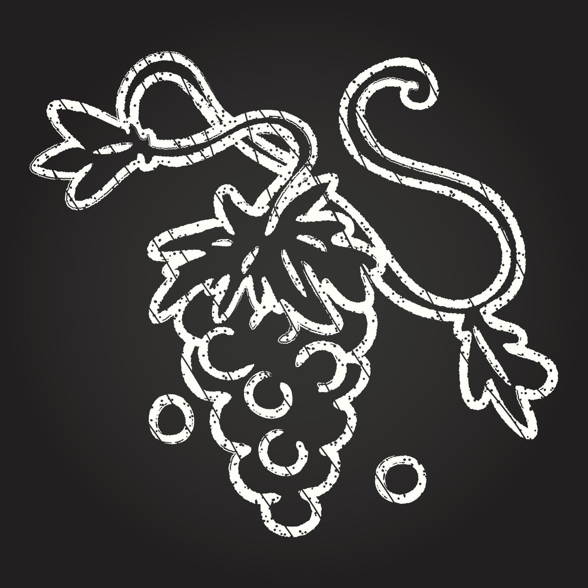 Grape Vine Chalk Drawing 13112583 Vector Art at Vecteezy