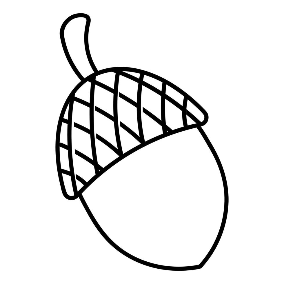 Acorn. The fruit of an oak with a hard shell. Sketch. Harvest of the autumn forest. vector