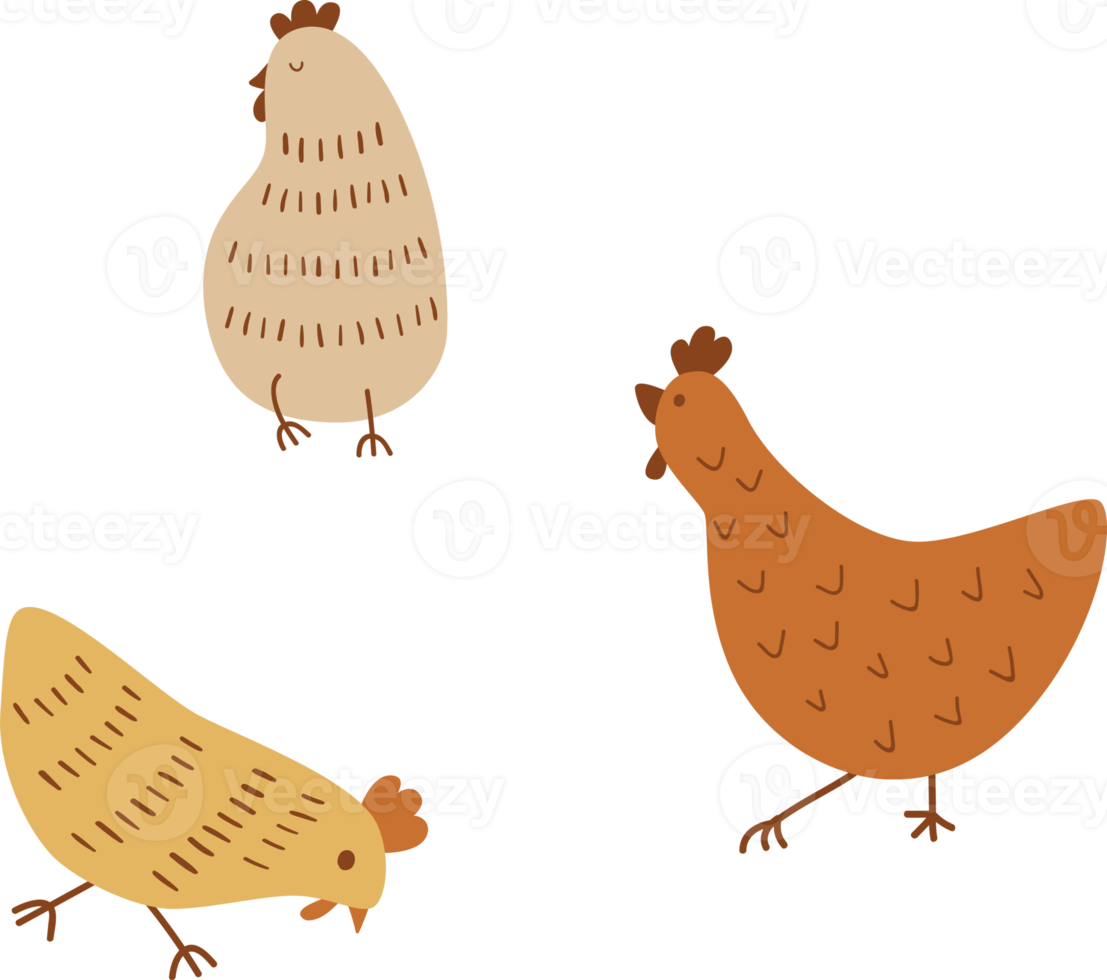 Cute chicken cartoon. Cute chickens set. Funny hens and roosters walking standing isolated elements. Chicken farm character illustration collection. Funny domestic birds, farm, poultry concept. png