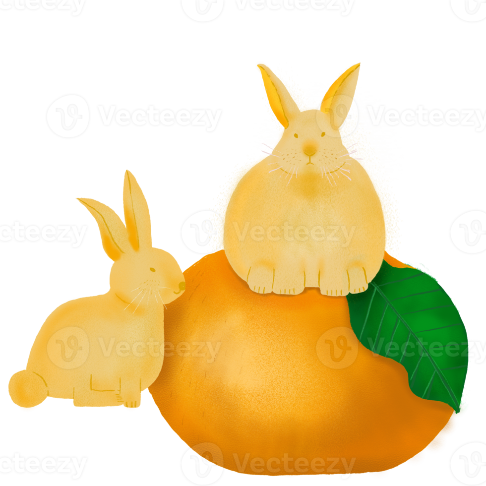 Year of the Rabbit 2023 png
