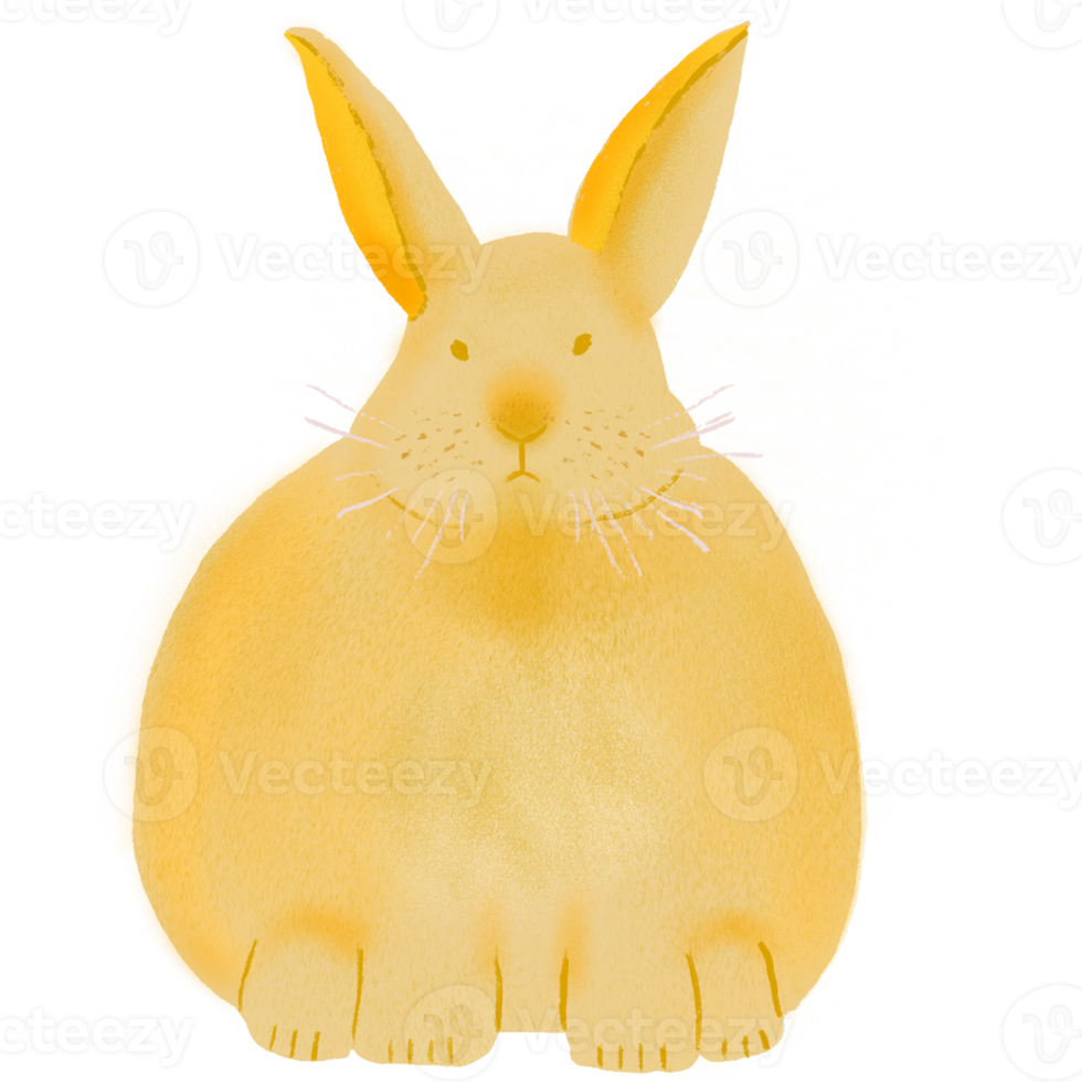 Year of the Rabbit 2023 png