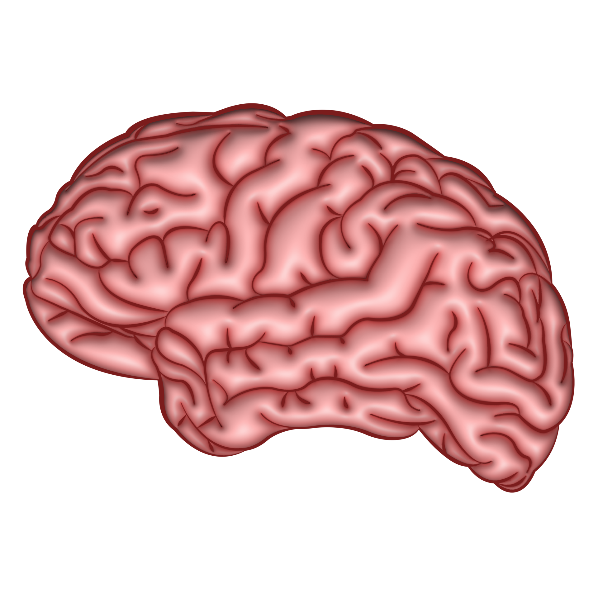 Bộ não người illustration 3D trong suốt miễn phí 13114272: Bộ não người 3D trong suốt là một tác phẩm nghệ thuật độc đáo. Với chi tiết tuyệt vời, bạn sẽ được trải nghiệm những gì diễn ra bên trong trí não độc đáo. Với miễn phí 13114272, bạn có thể tải về và sở hữu bộ não người 3D trong suốt này ngay lập tức. Khám phá ngay!