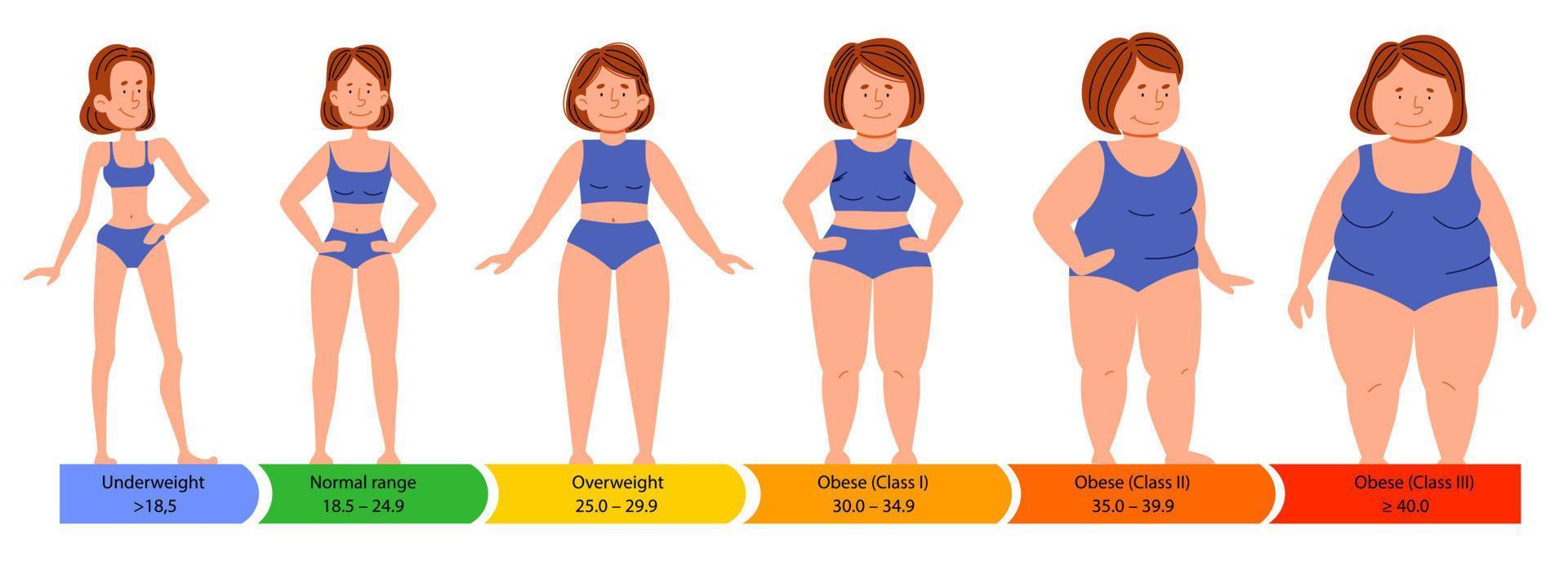 categorías con índice de masa corporal. siluetas femeninas de figura gruesa, normal y esbelta. vector