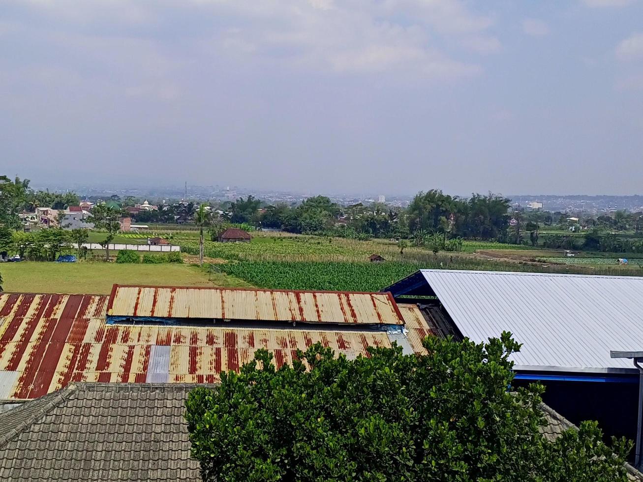 View of the rice fields and sky taken from the top of the 5th floor building photo