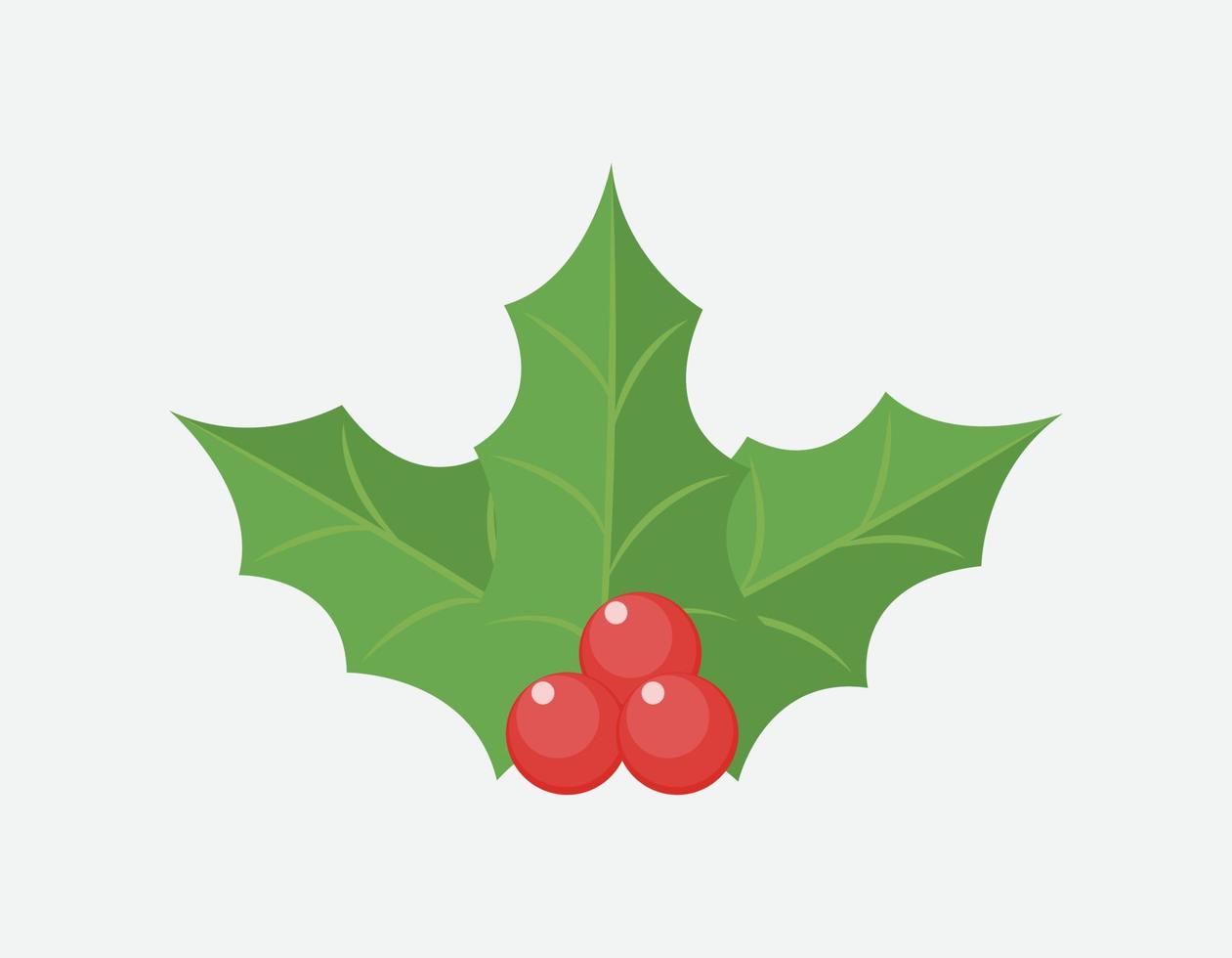 Elements of Christmas holly with berries, Christmas plants, vector cartoon style