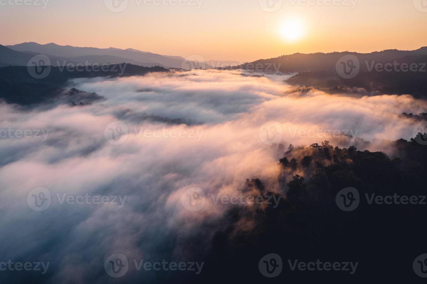 niebla matutina y nubes en el bosque de la colina foto