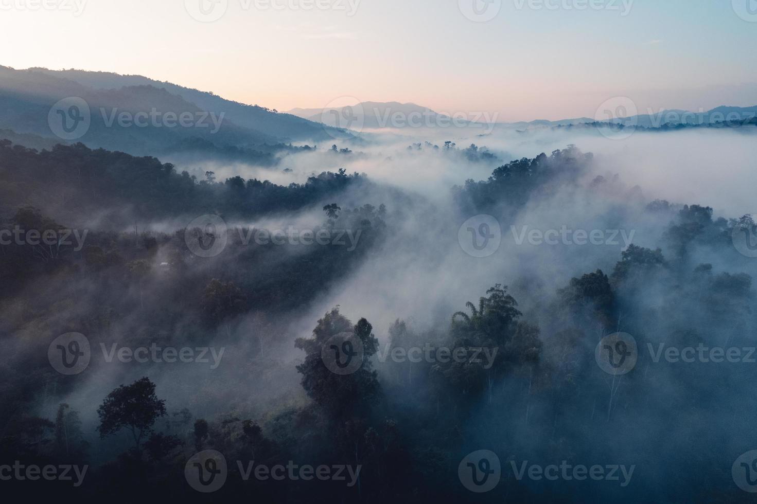 niebla matutina y nubes en el bosque de la colina foto