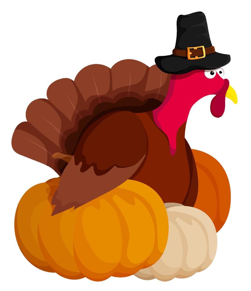 sly, wary turkey hid behind holiday pumpkins at animal farm. Turkey is main dish of Thanksgiving. Autumn harvest. Cartoon vector