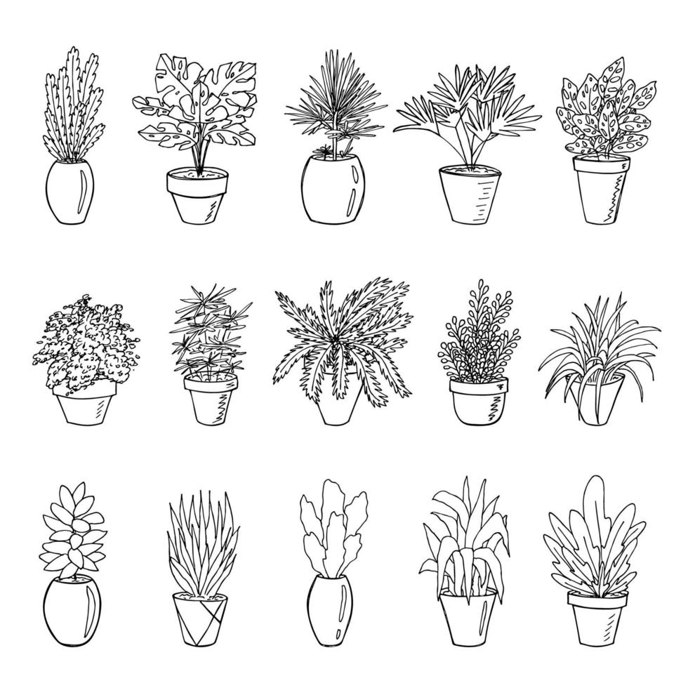 Cute hand drawn houseplant in a pot clipart. Plant illustration. Cozy home doodle set vector