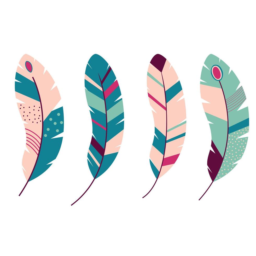 colorful feathers set vector