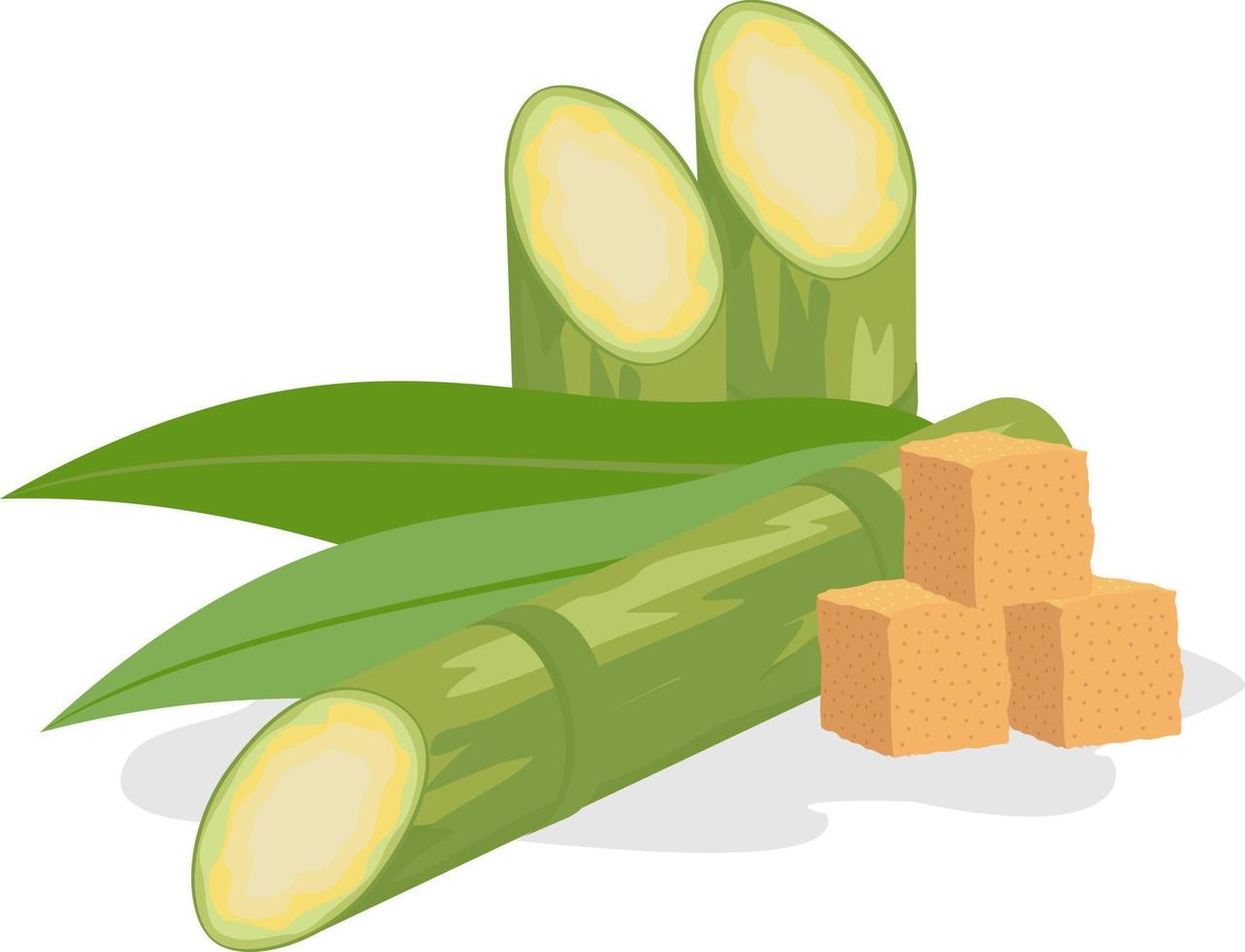 Sugar cane and brown sugar. Sugarcane superfood. Stem with leaves and sugar. Sugarcane stems with leaves and superfood vector