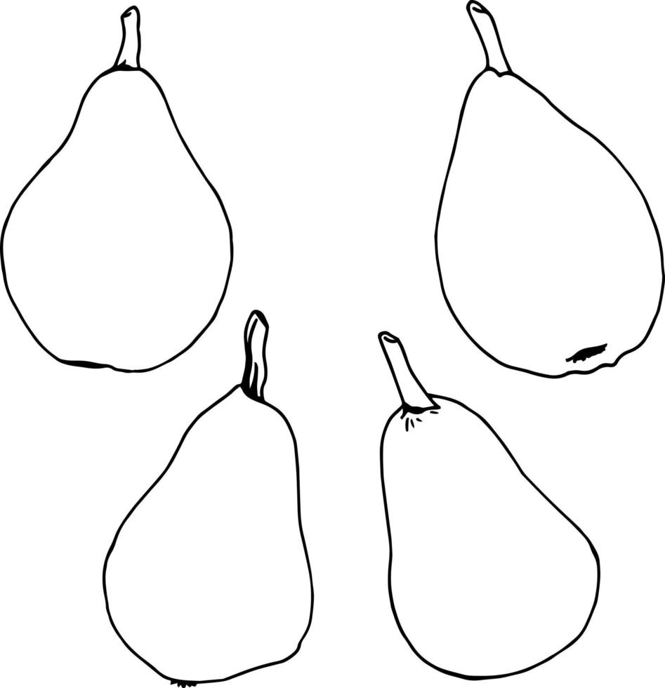 Black-and-white pears on white background. Vector image.