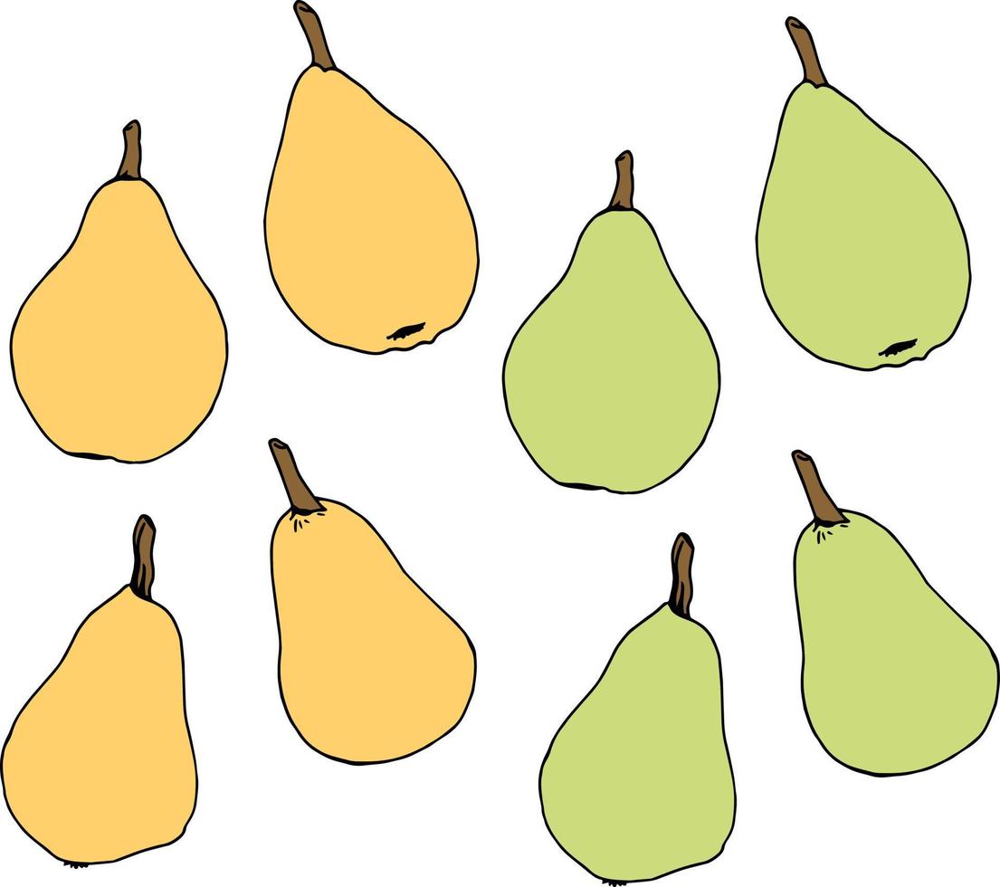 Pears on white background. Vector image.