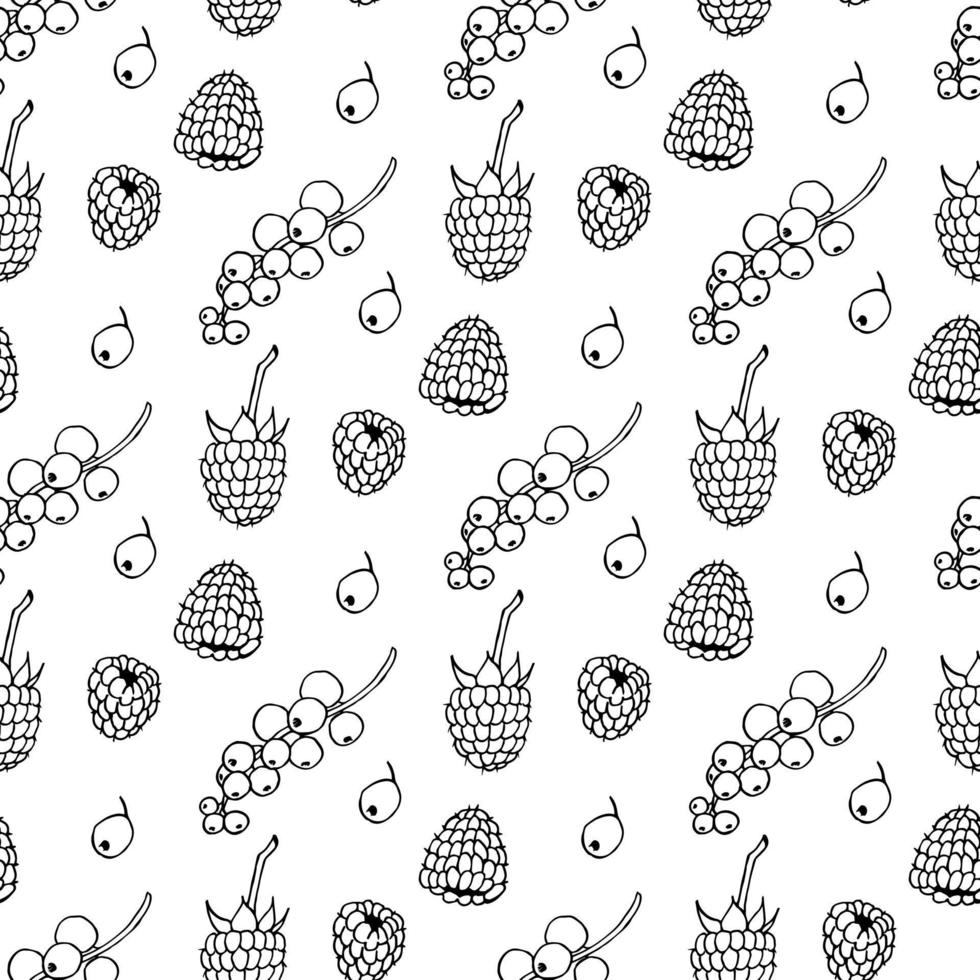 Seamless pattern with black-and-white currant and raspberry on white background. Vector image.