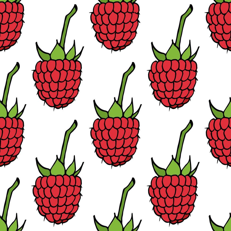 Seamless pattern with raspberry on white background. Vector image.