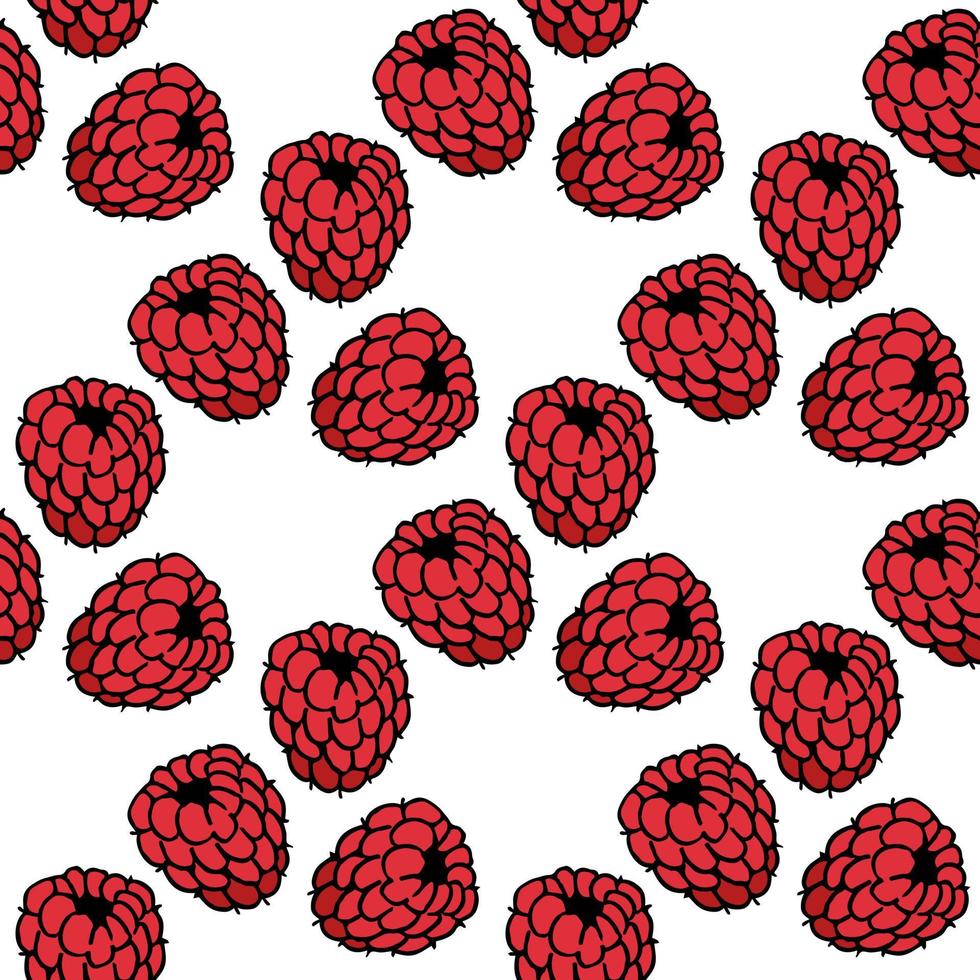 Seamless pattern with sweet raspberry on white background. Vector image.