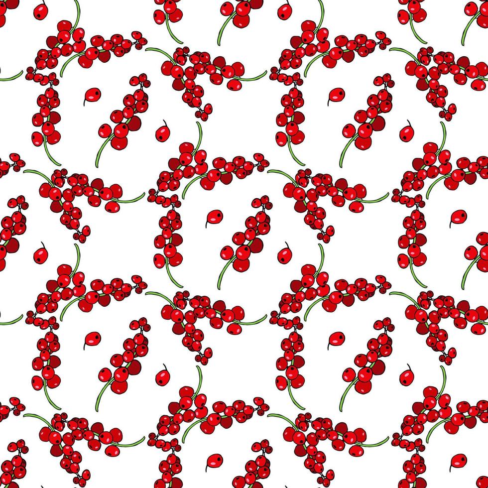 Seamless pattern with beautiful red currant on white background. Vector image.