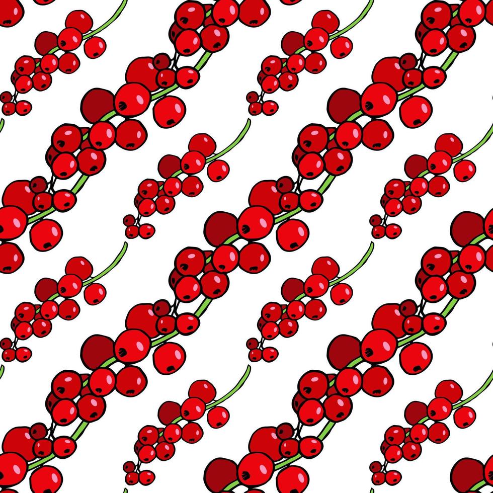 Seamless pattern with wonderful red currant on white background. Vector image.