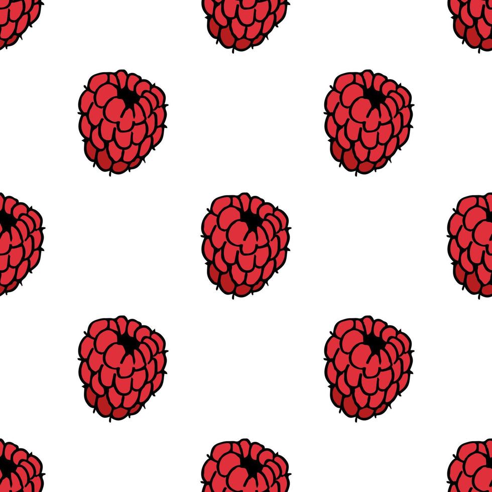 Seamless pattern with cozy raspberry on white background. Vector image.