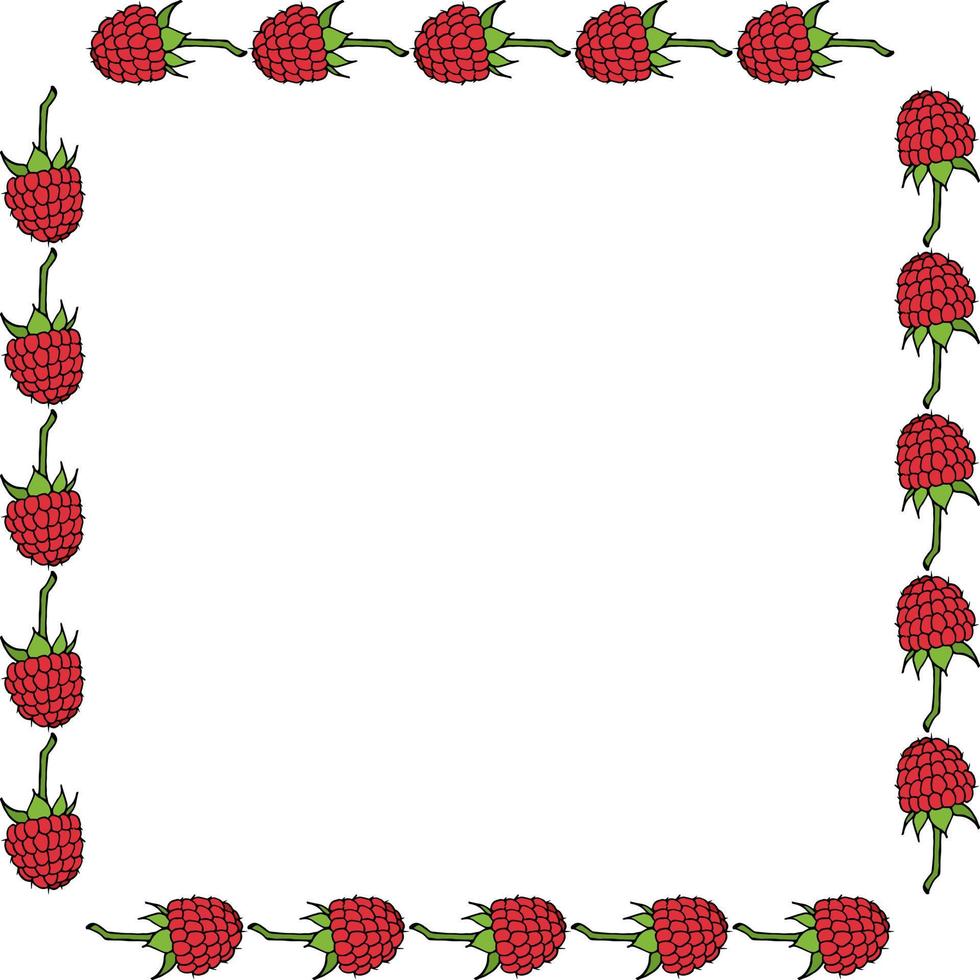Square frame with cute raspberry on white background. Vector image.