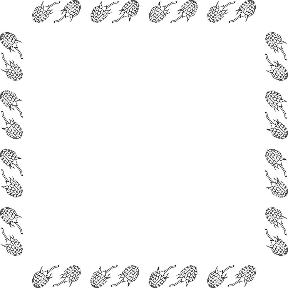 Square frame with black-and-white cozy raspberry on white background. Vector image.