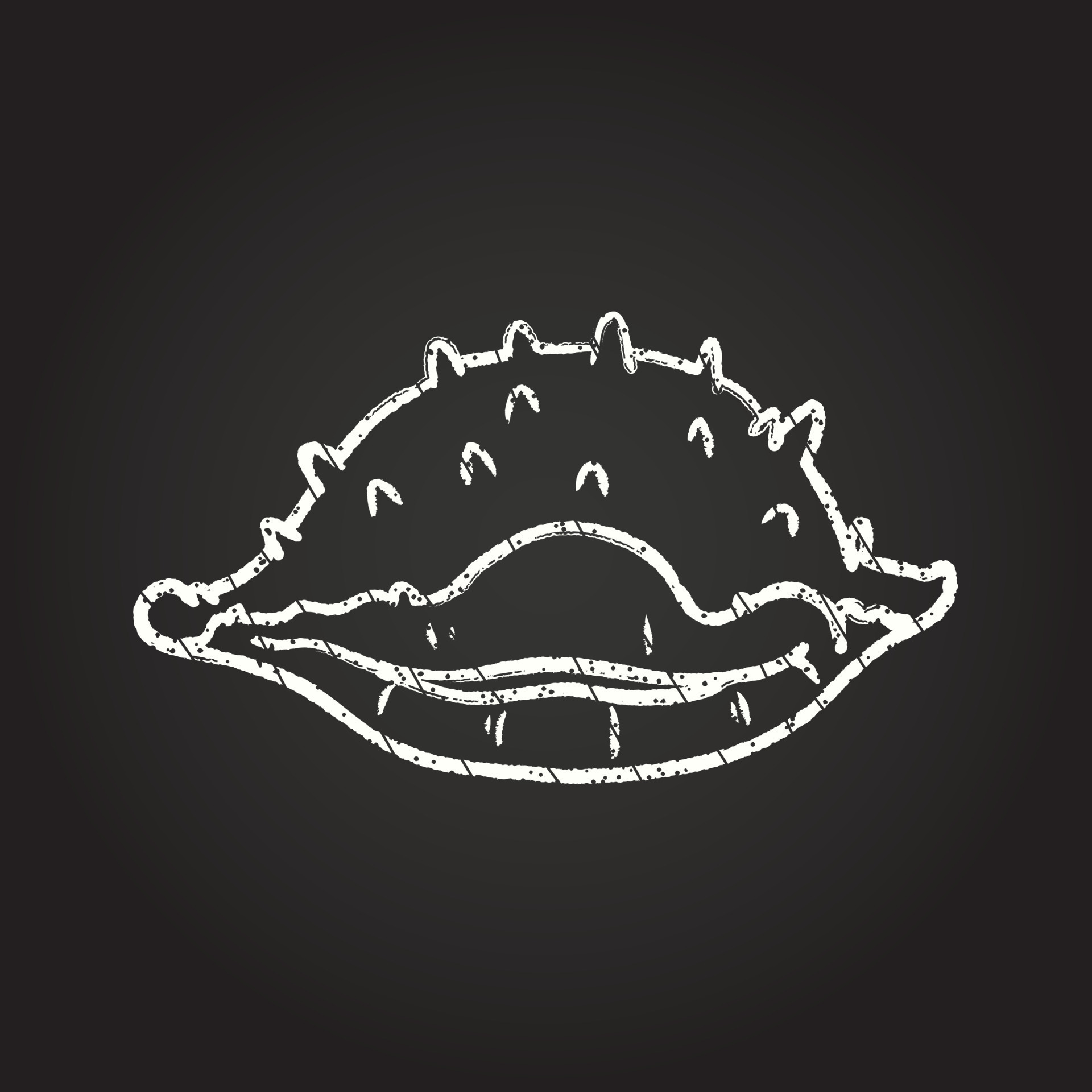Sea Shell Chalk Drawing 13117545 Vector Art at Vecteezy