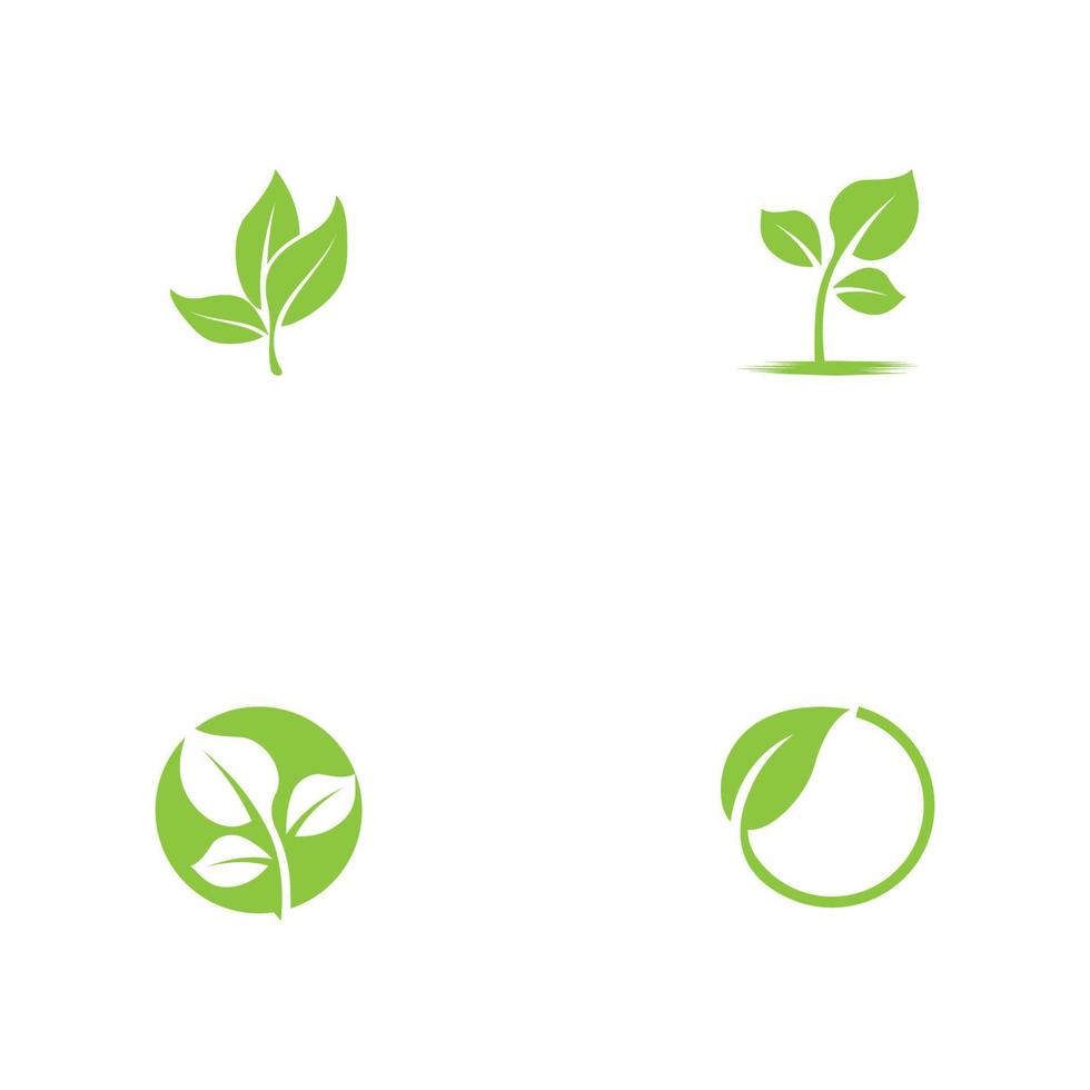 icono de hoja de árbol ecológico vector