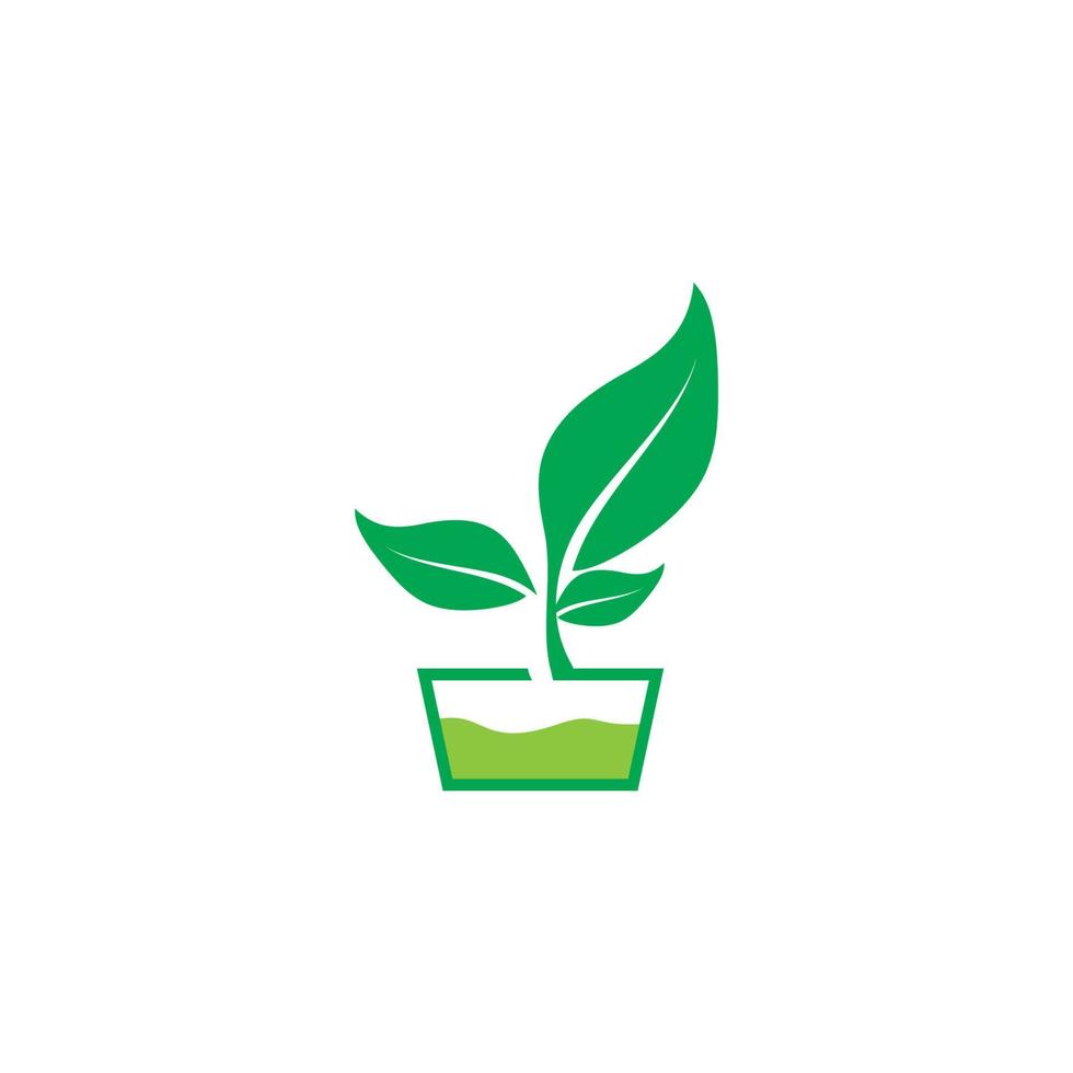 eco tree leaf icon vector