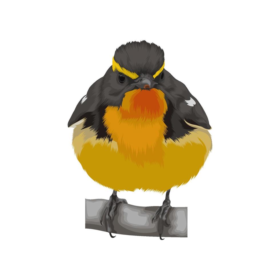 Narcissus Flycatcher bird vector