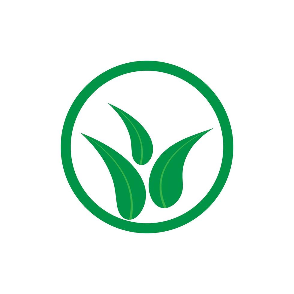 Green leaf logo vector