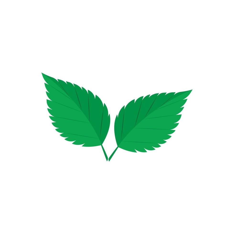 logo de hoja de menta vector