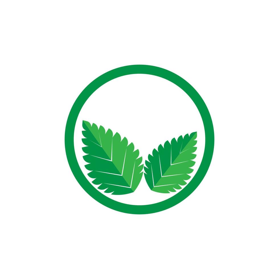 logo de hoja de menta vector