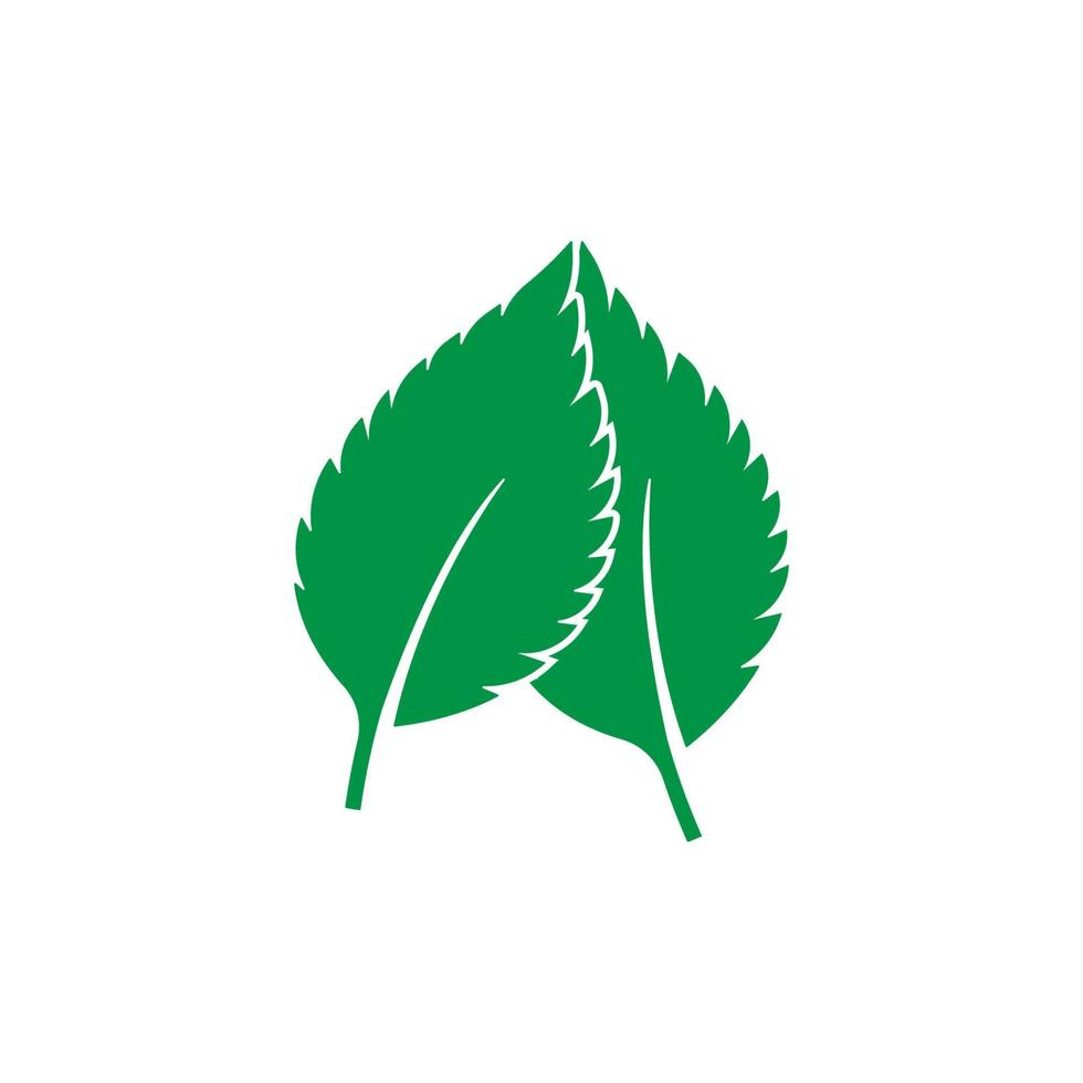 logo de hoja de menta vector