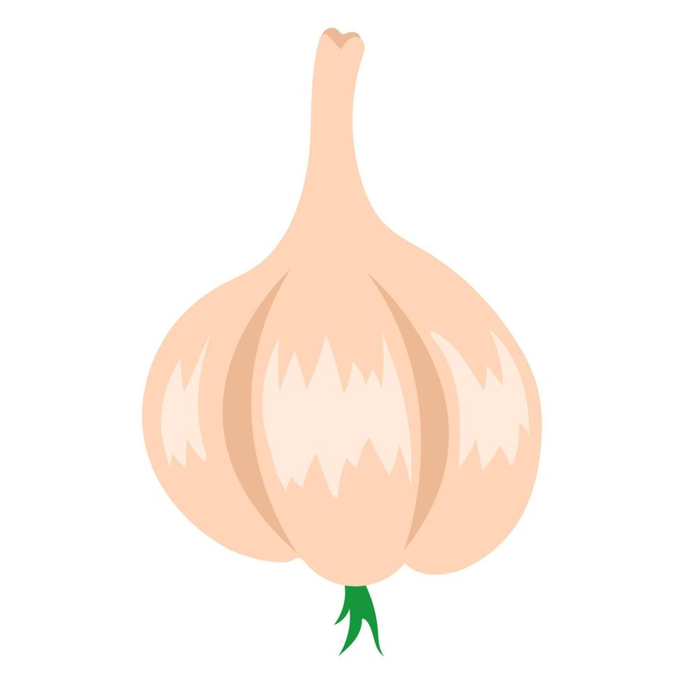 Garlic doodle icon vector