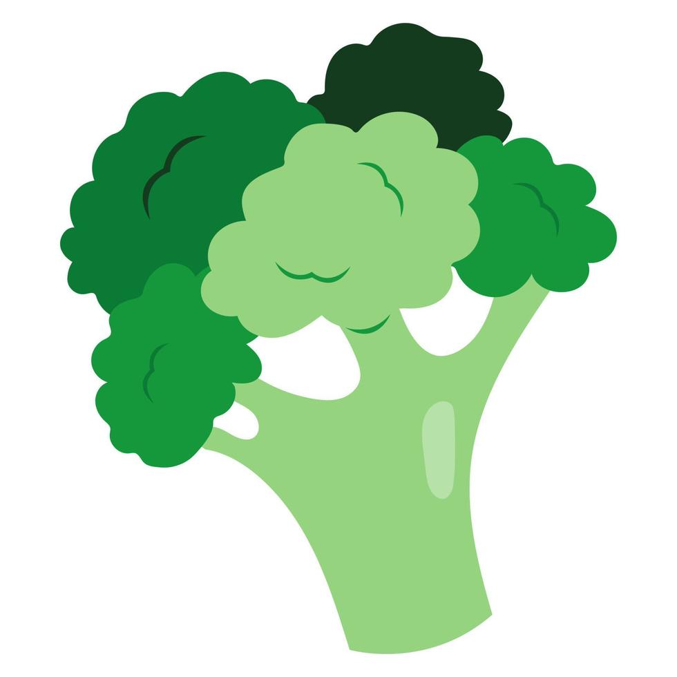 Green broccoli doodle icon vector