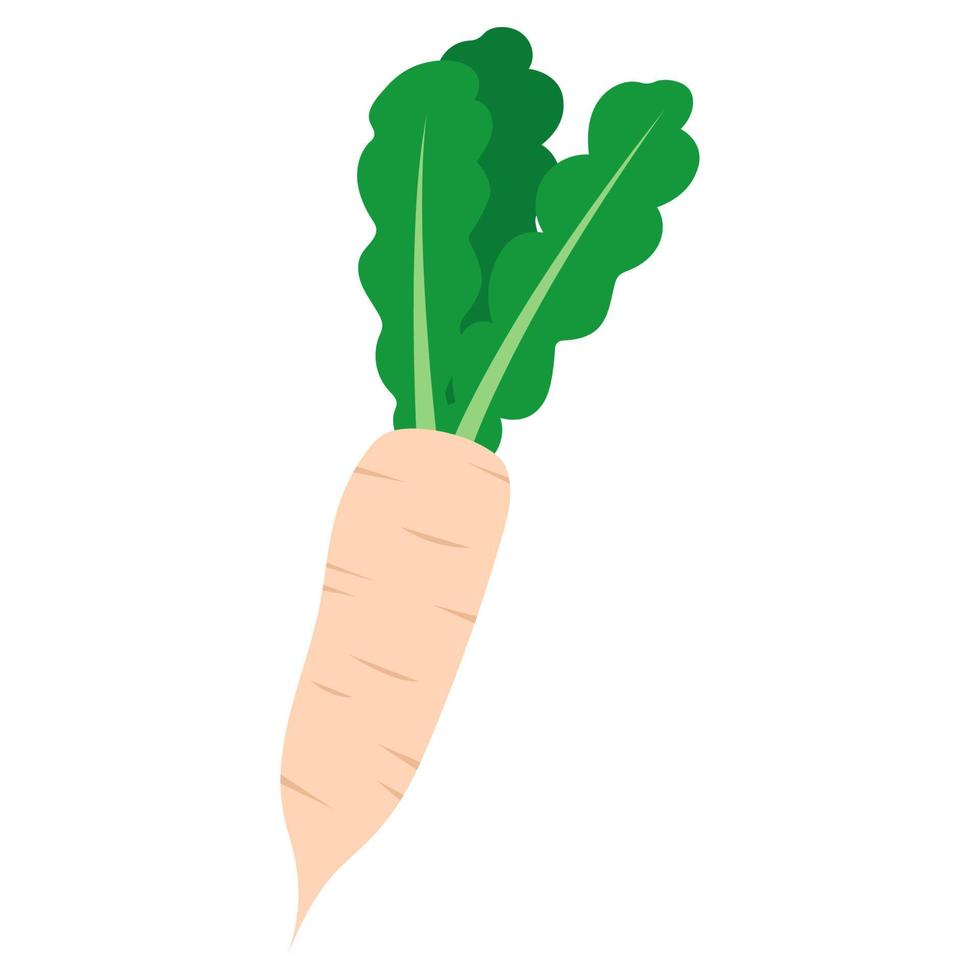 Celery doodle icon vector