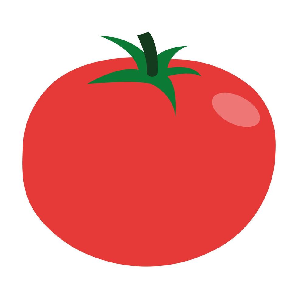 Ripe red tomato doodle icon vector