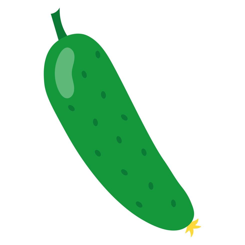 Ripe green cucumber doodle icon vector