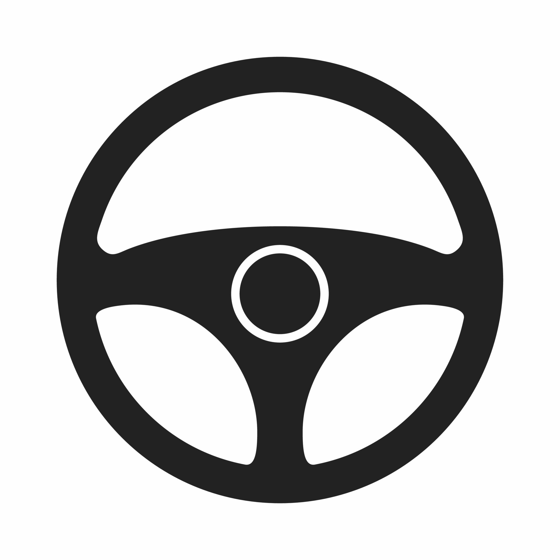Is Your Car Steering You Wrong?  A Critical Safety Check - zi036o1