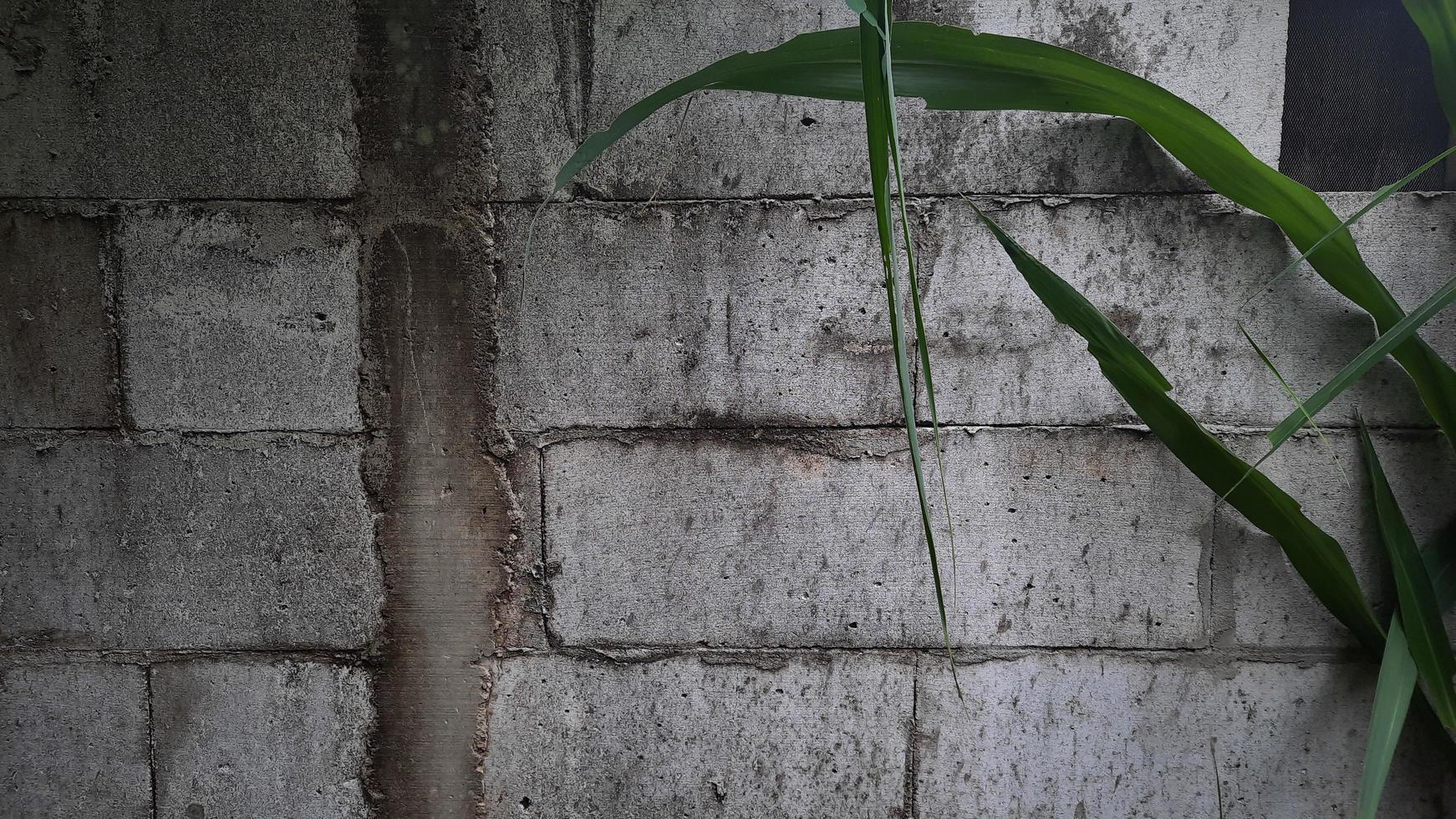 Brick wall background with cane leaf ornament photo