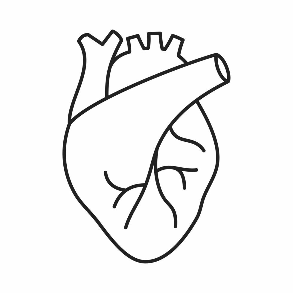 icono del contorno del órgano del corazón vector
