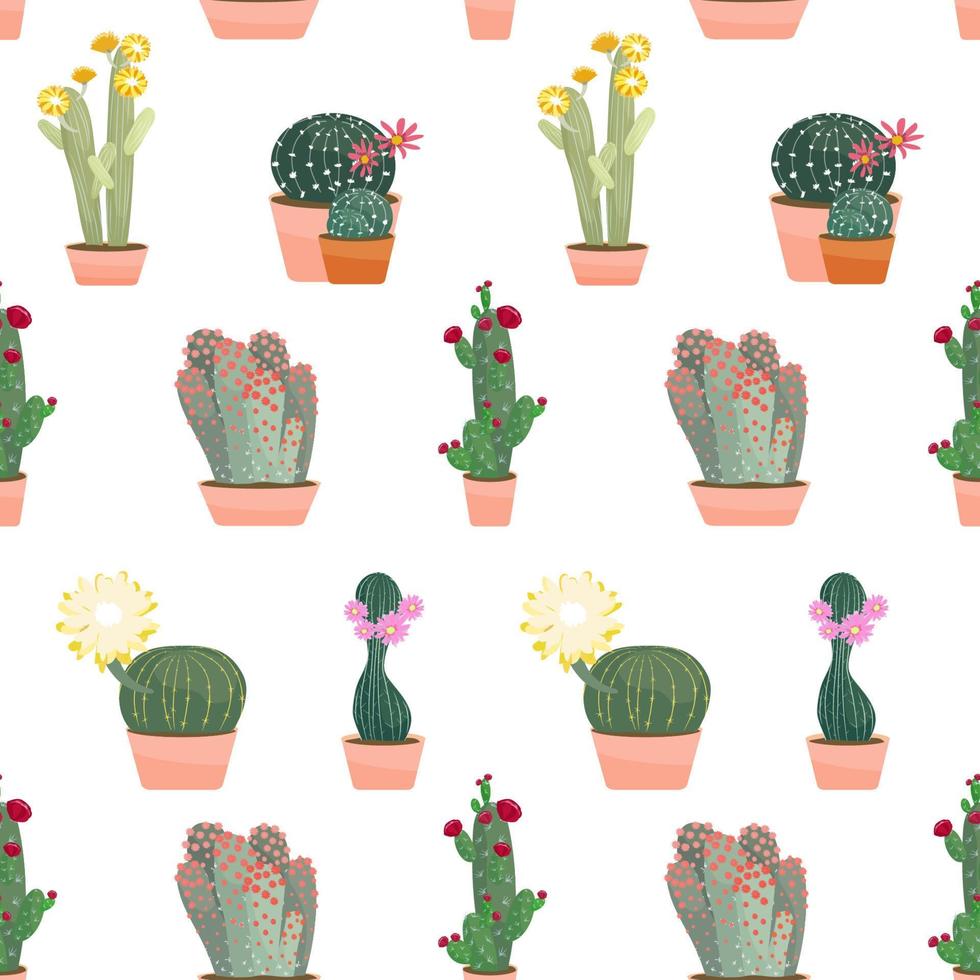 Flowering cacti seamless pattern vector illustration on white