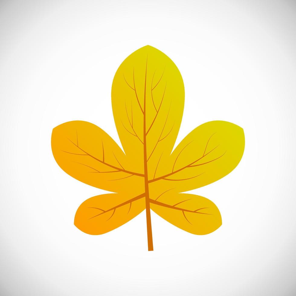 hoja de castaño amarillo. hoja de otoño de un árbol sobre un fondo blanco. ilustración vectorial vector