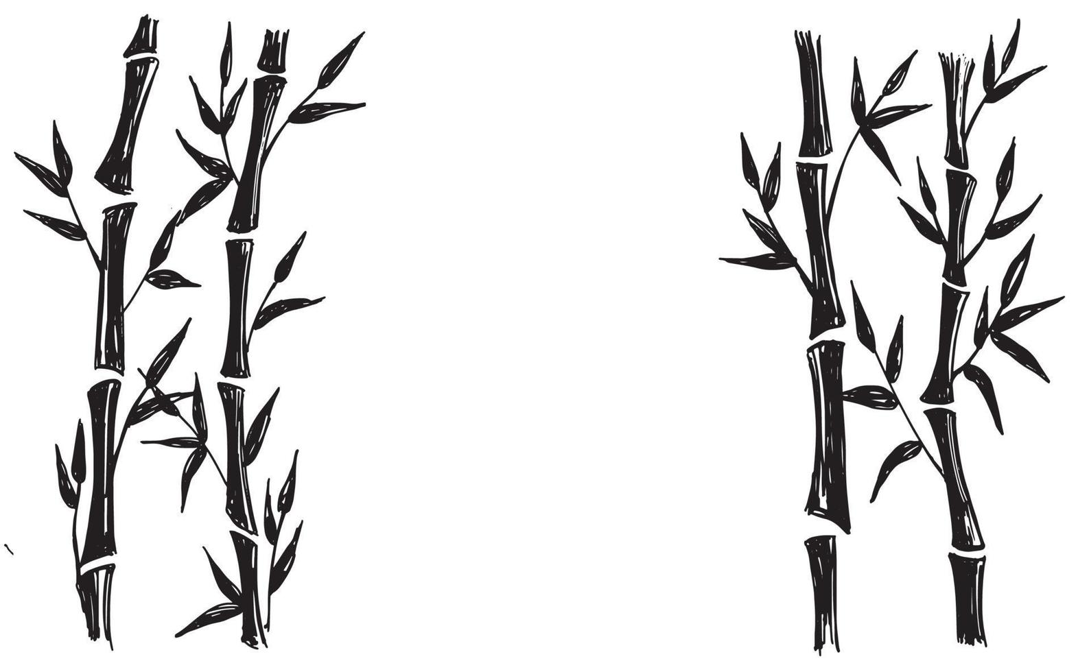 Bamboo tree. Hand drawn style. Vector illustrations.