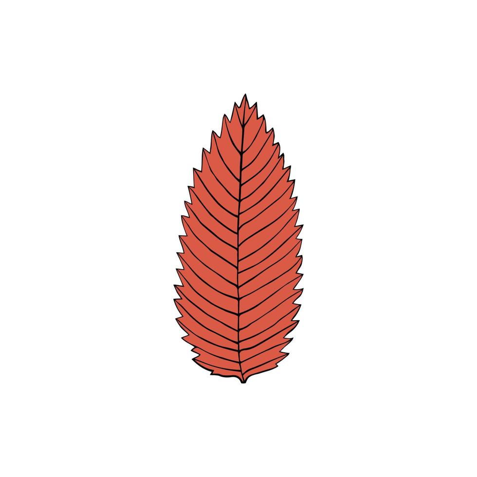 Vector illustration of ashberry leaf in cartoon style. Colorful isolated element for graphic design