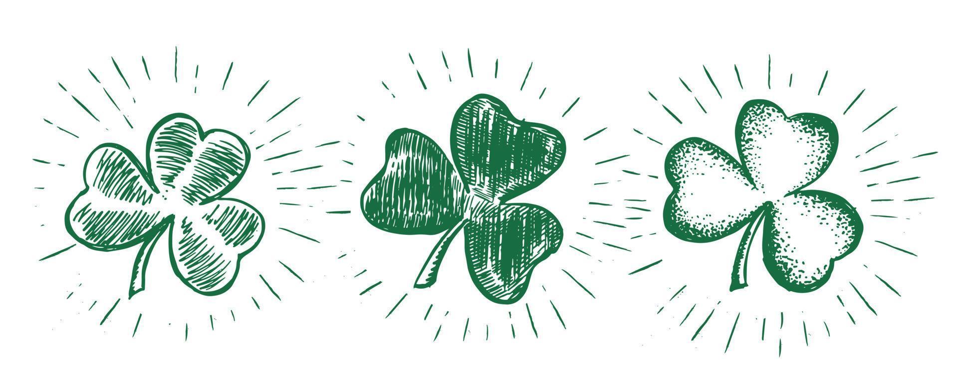 Clover set. Patrick's day. Hand drawn illustration. vector