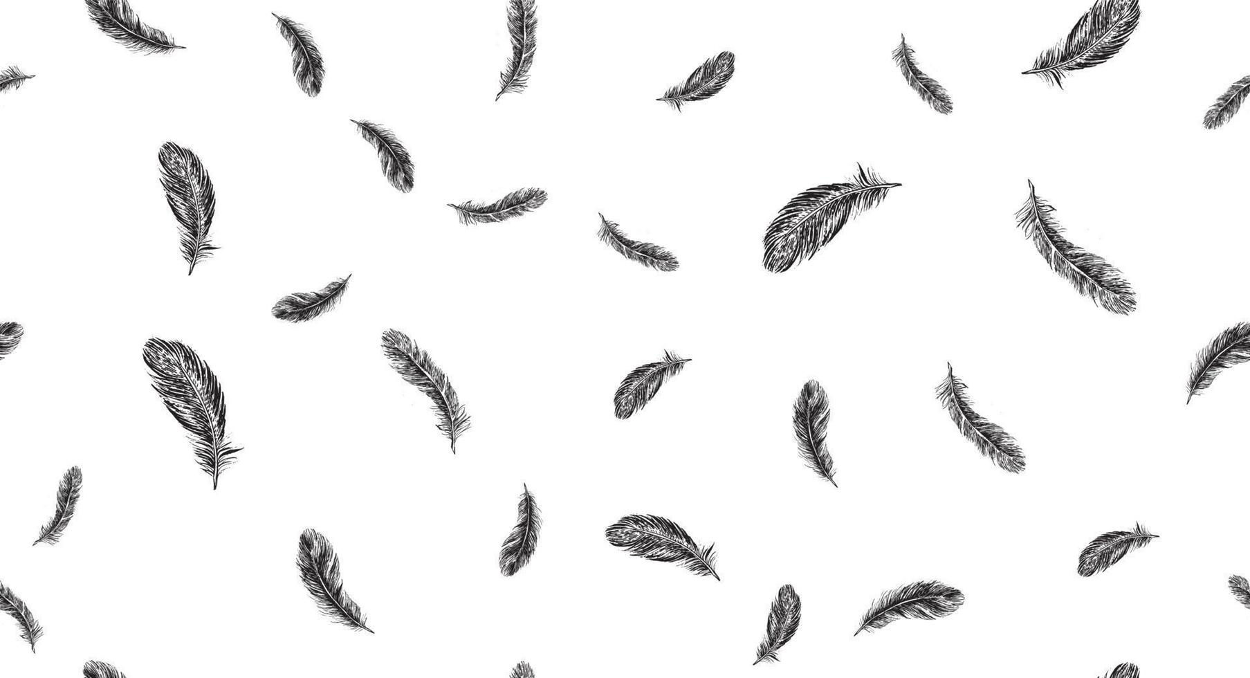 Feathers. Hand drawn sketch style. vector