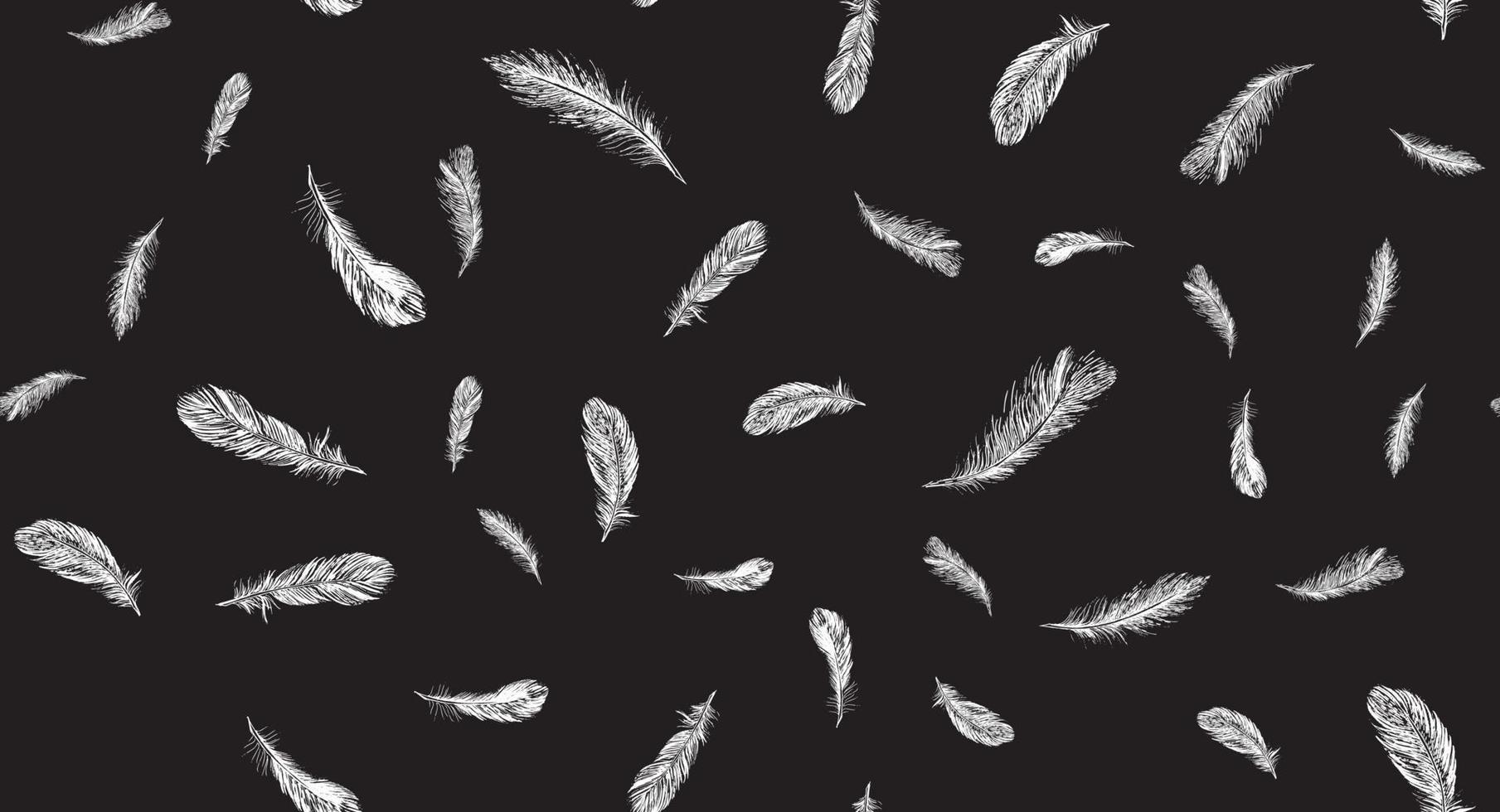 Feathers. Hand drawn sketch style. vector